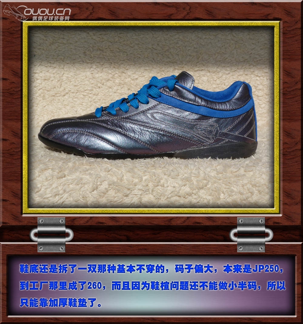 全K变色龙灵鹰(indoor)—多一点属于自己的