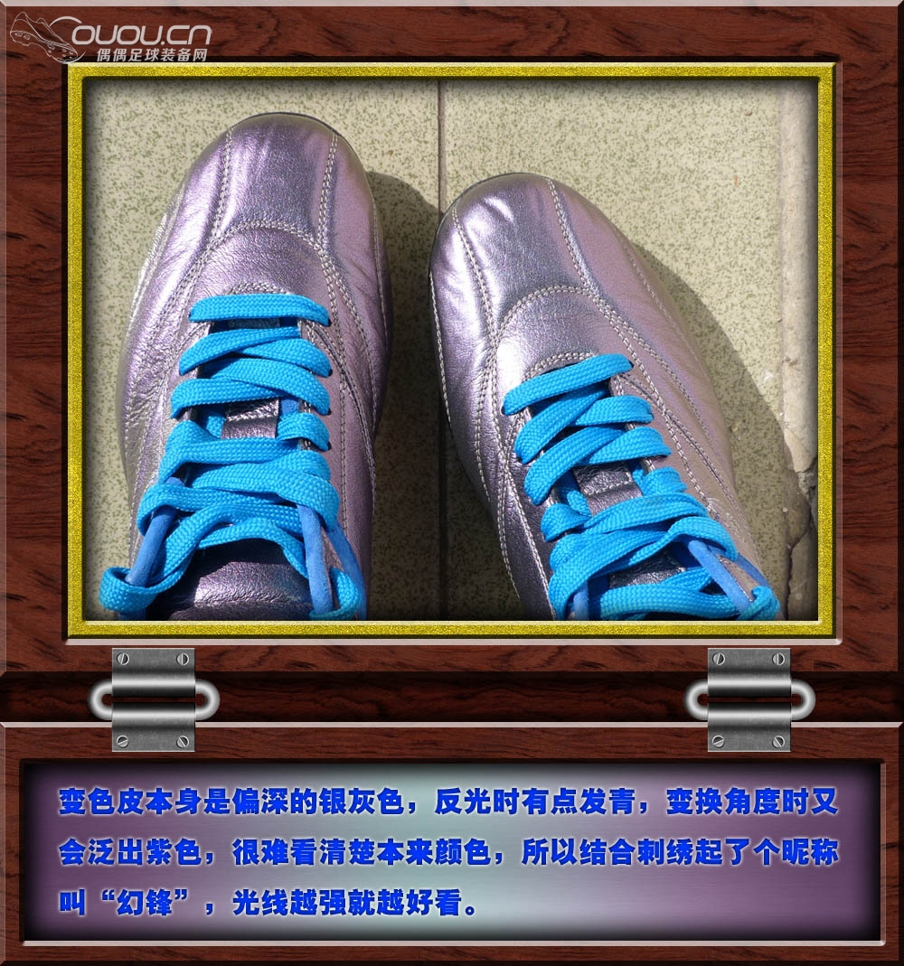 全K变色龙灵鹰(indoor)—多一点属于自己的