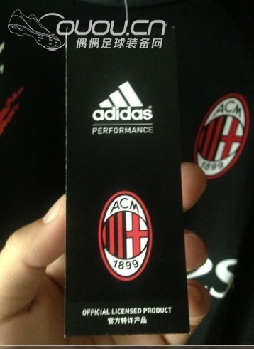 求鉴定这款训练卫衣。