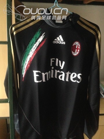 求鉴定这款训练卫衣。