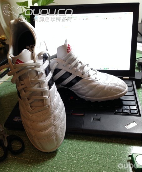 入手了释迦TF一双!不错滴说!