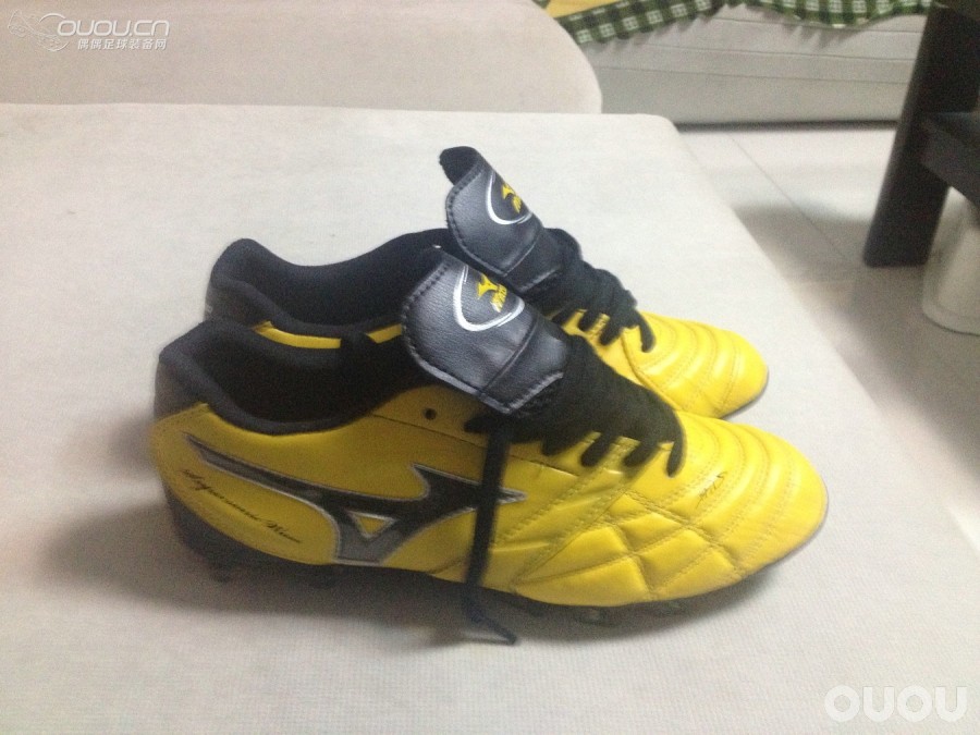 求验证新入的索尼克