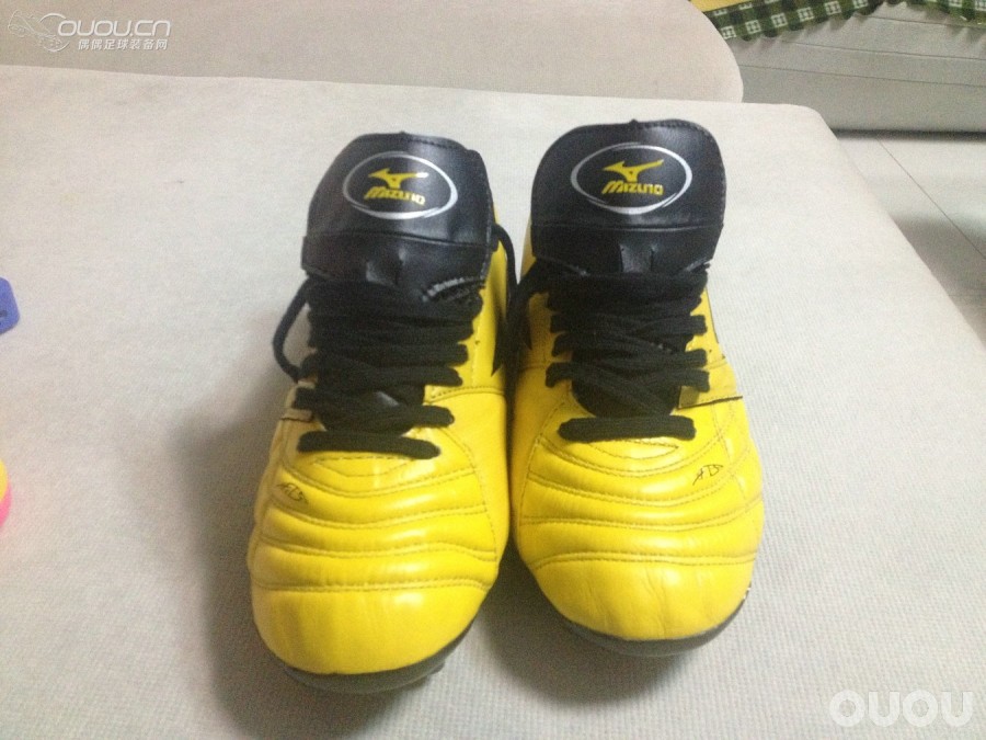 求验证新入的索尼克