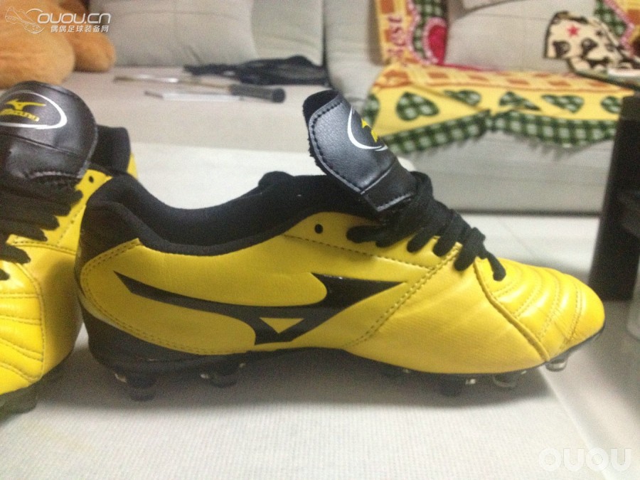 求验证新入的索尼克