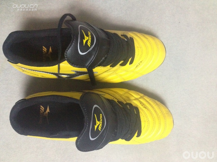 求验证新入的索尼克