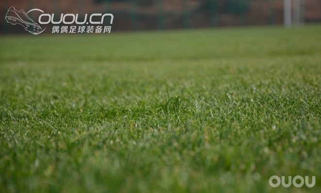 一个新的训练基地、祝大家2014都能踢上真草、