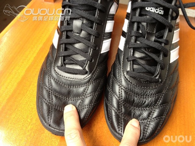 终入释迦TF,完成TF的又一块拼图