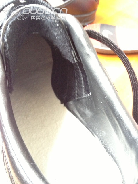 终入释迦TF,完成TF的又一块拼图