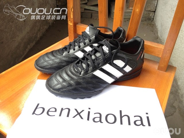 终入释迦TF,完成TF的又一块拼图