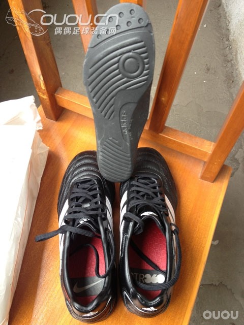 终入释迦TF,完成TF的又一块拼图