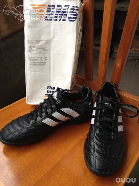 终入释迦TF,完成TF的又一块拼图