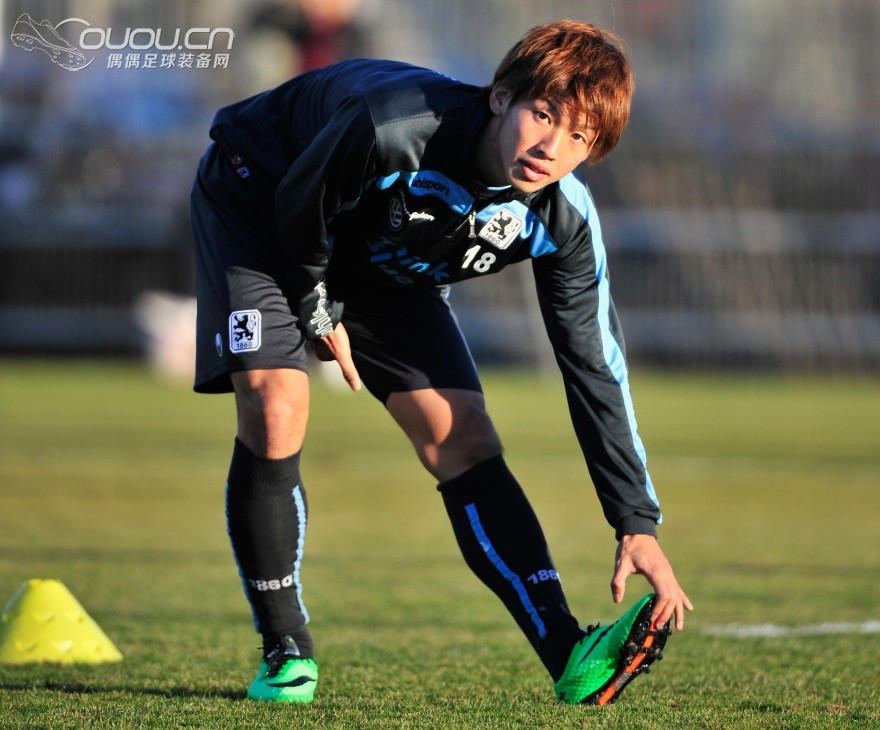 看不一样的毒蜂!!!