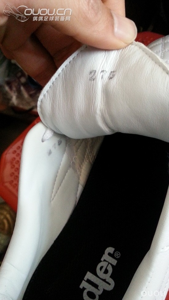 我就是我,白,有什么不可以?adler