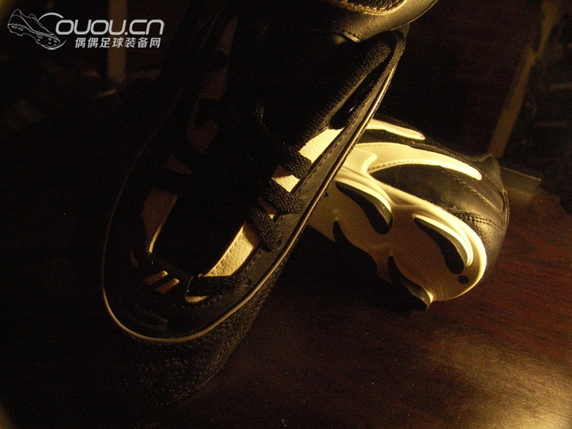 满足好奇心收的帕特里克低端波浪底