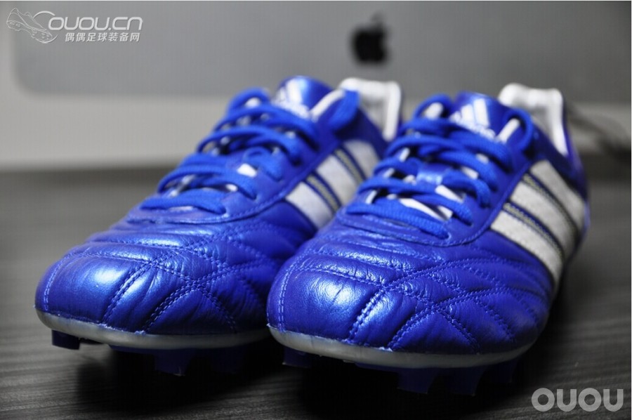 终于入得释迦归