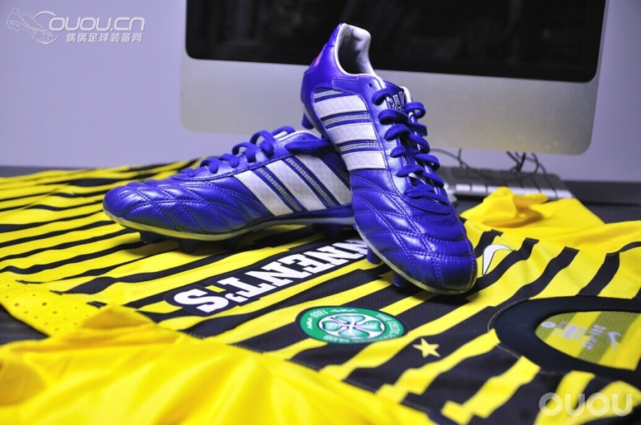 终于入得释迦归