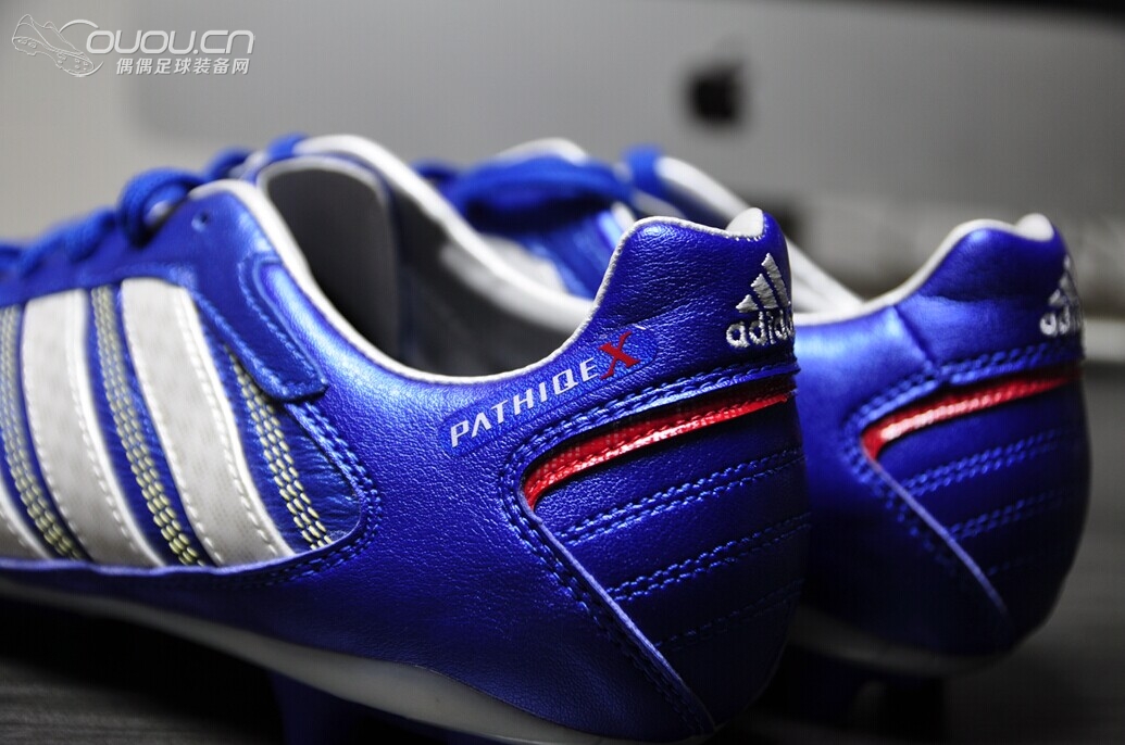 终于入得释迦归