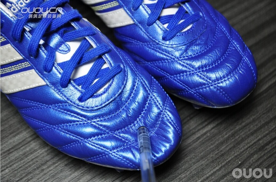 终于入得释迦归