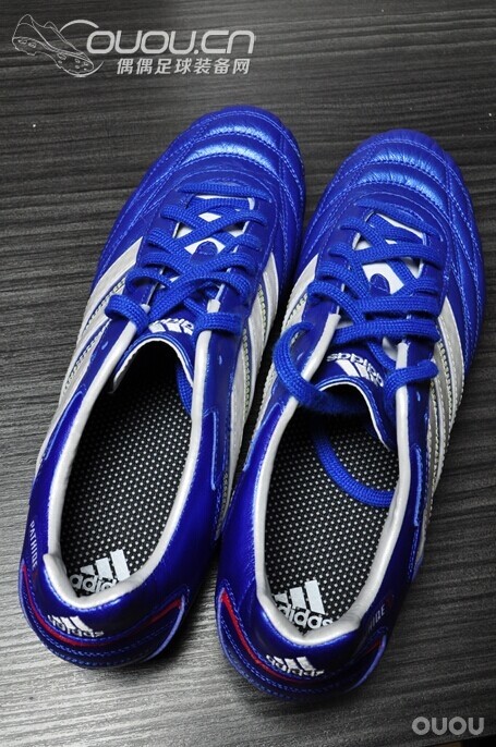 终于入得释迦归