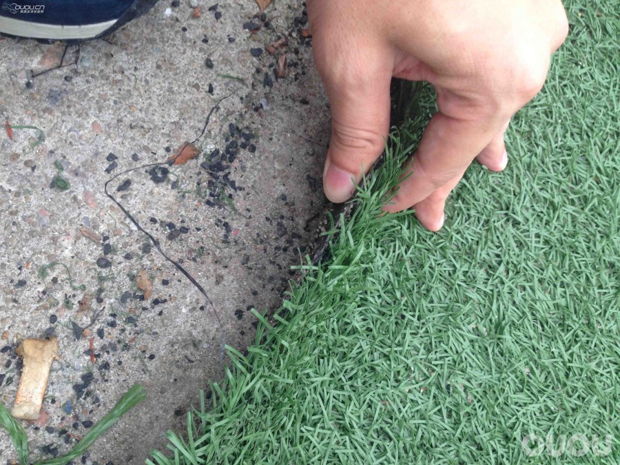 鬼牌实战第二波,人草篇