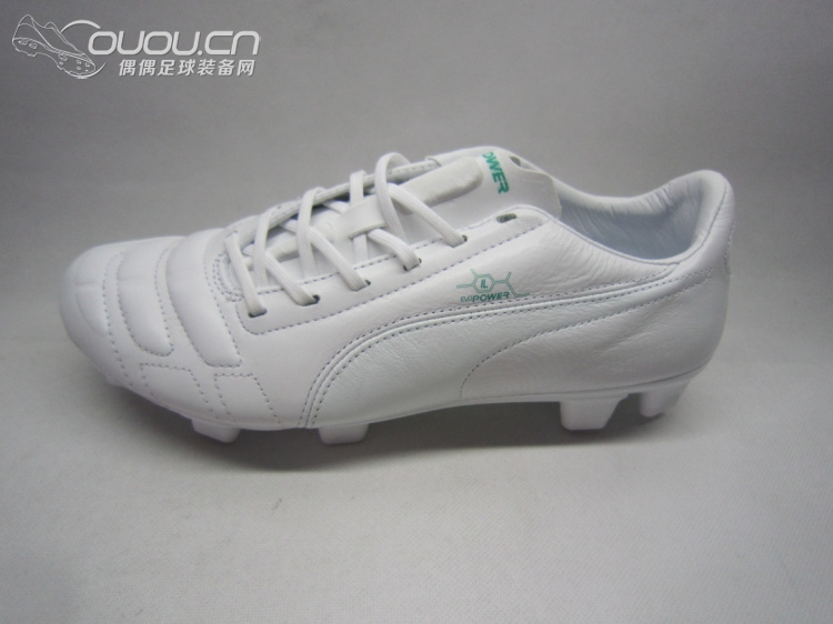 evoPOWER Leather 皮版(应该是首发吧)