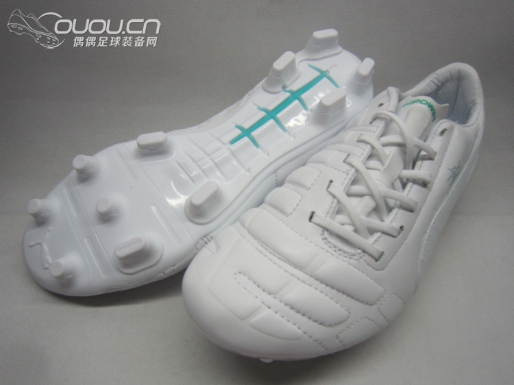 evoPOWER Leather 皮版(应该是首发吧)