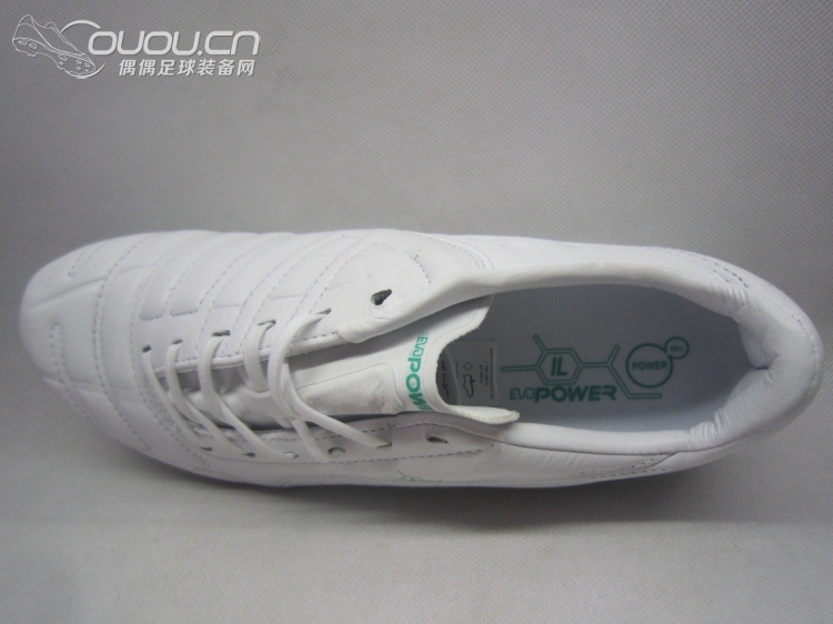 evoPOWER Leather 皮版(应该是首发吧)