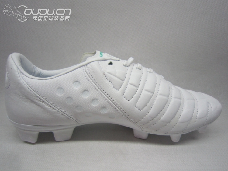 evoPOWER Leather 皮版(应该是首发吧)