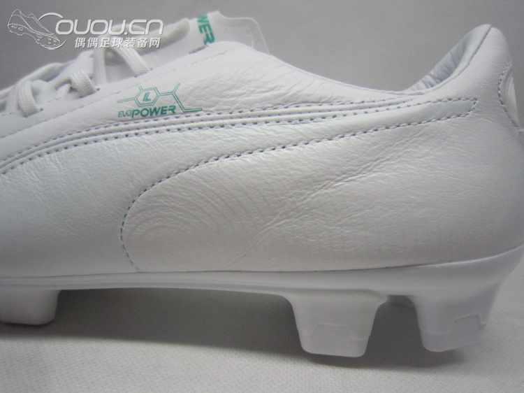 evoPOWER Leather 皮版(应该是首发吧)