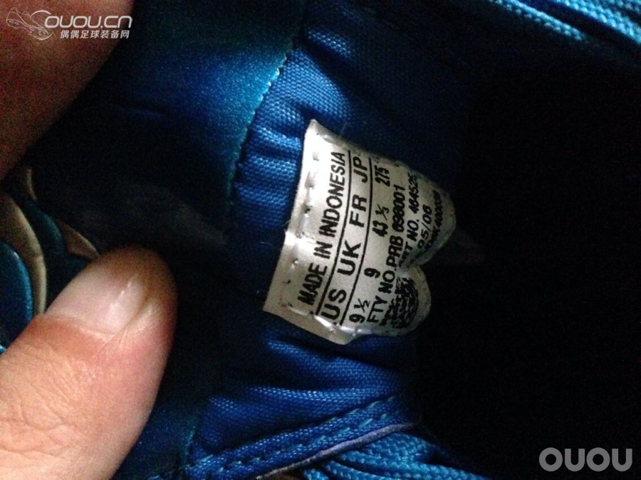 找了好久的蓝狮,顺便求鉴定下