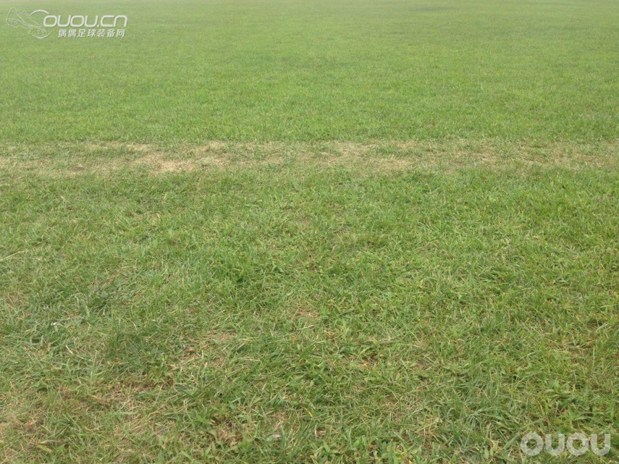 说说刺9 vapor的fg