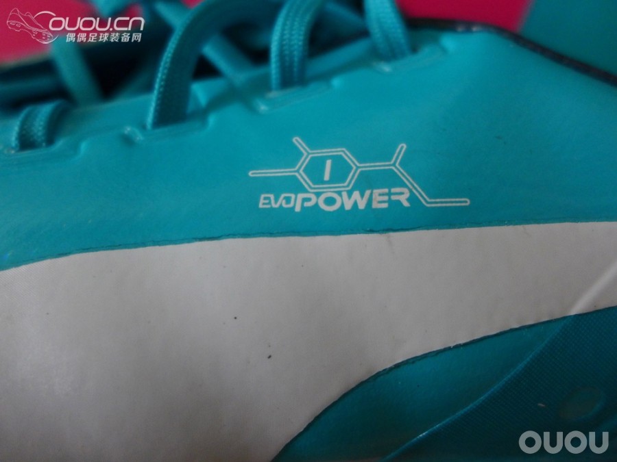 终于接你回家了 鸳鸯EVOPOWER