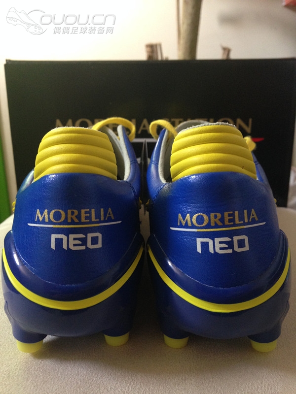 Morelia Neo Morpho 静态