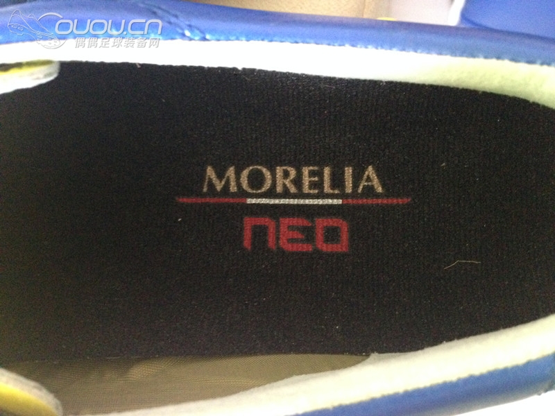 Morelia Neo Morpho 静态