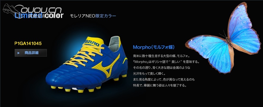 Morelia Neo Morpho 静态