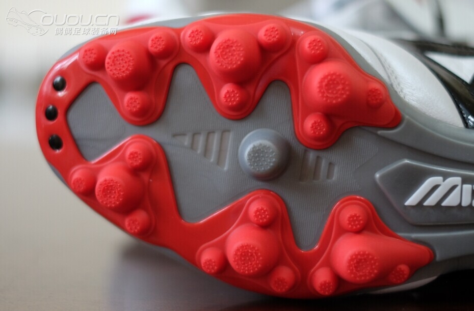 Morelia II TM 静态赏析