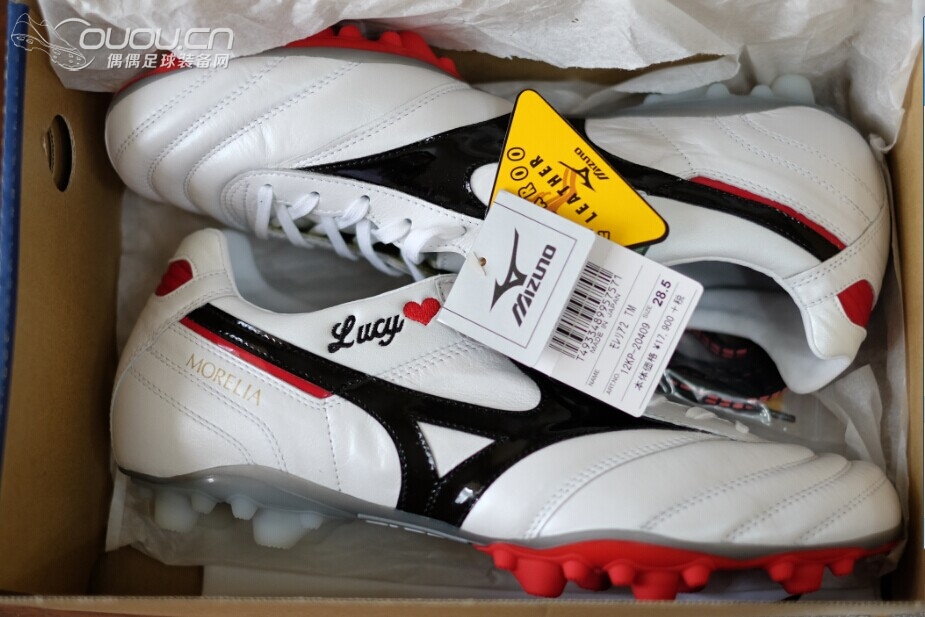 Morelia II TM 静态赏析