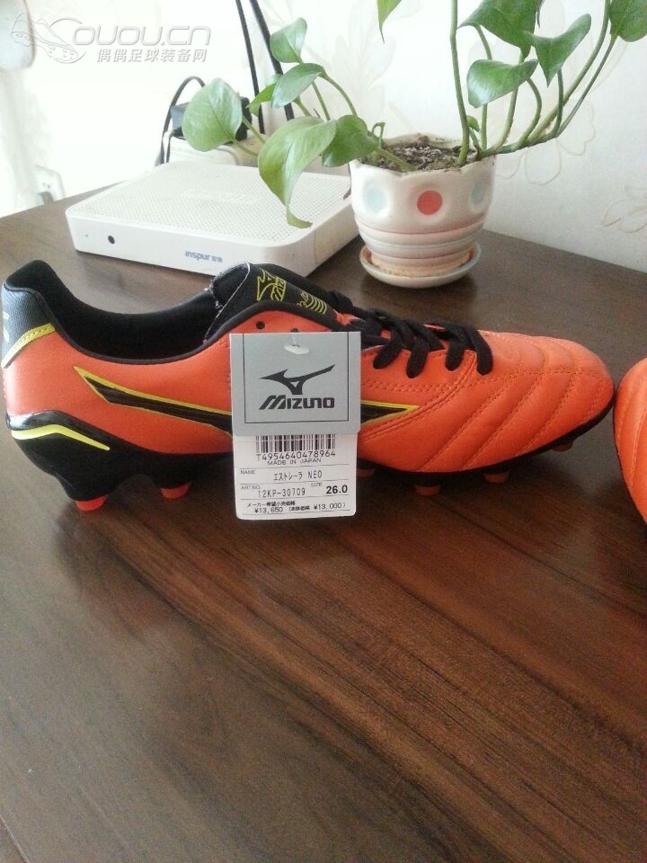 新入的Estrela neo,感觉不错