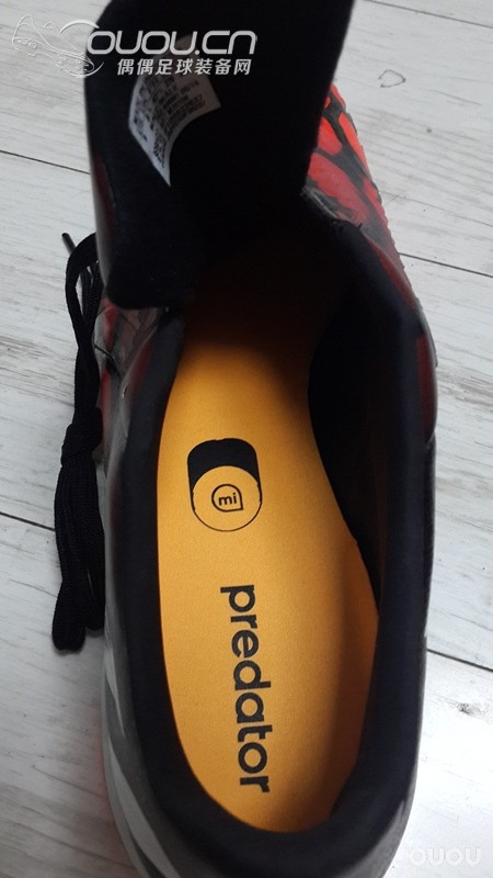 新入一双猎14 Predator Absolion TF,求大神鉴定真假