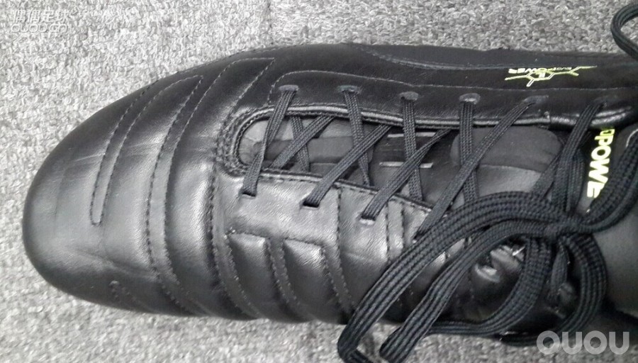 跪谢老婆大人的圣诞礼物——EVO POWER 1L入手!~