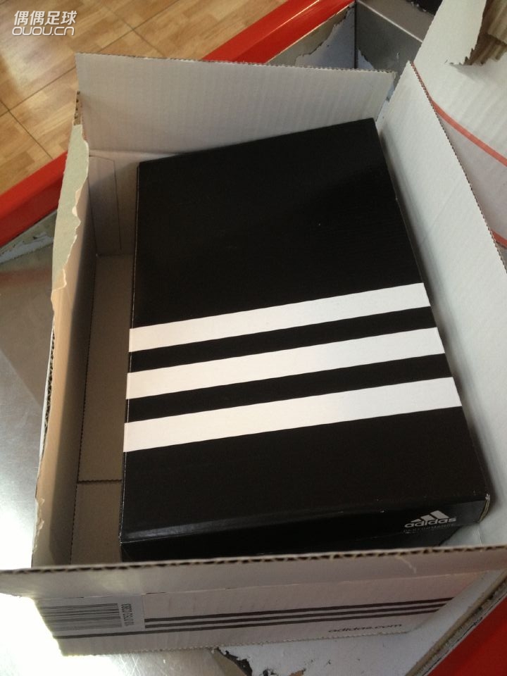 猎鹰限量500袋鼠。。。