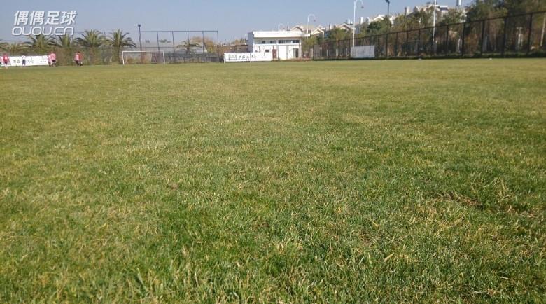 2015年第一场球 穿着新入EVOpower MB45