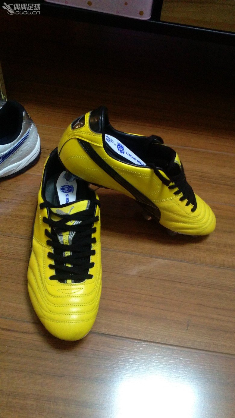 日本归来,秀下在KAMO和FUTABA的照片和成果(文末有彩蛋)