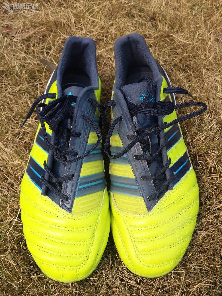 求鉴定新年大白菜——猎鹰11大将军