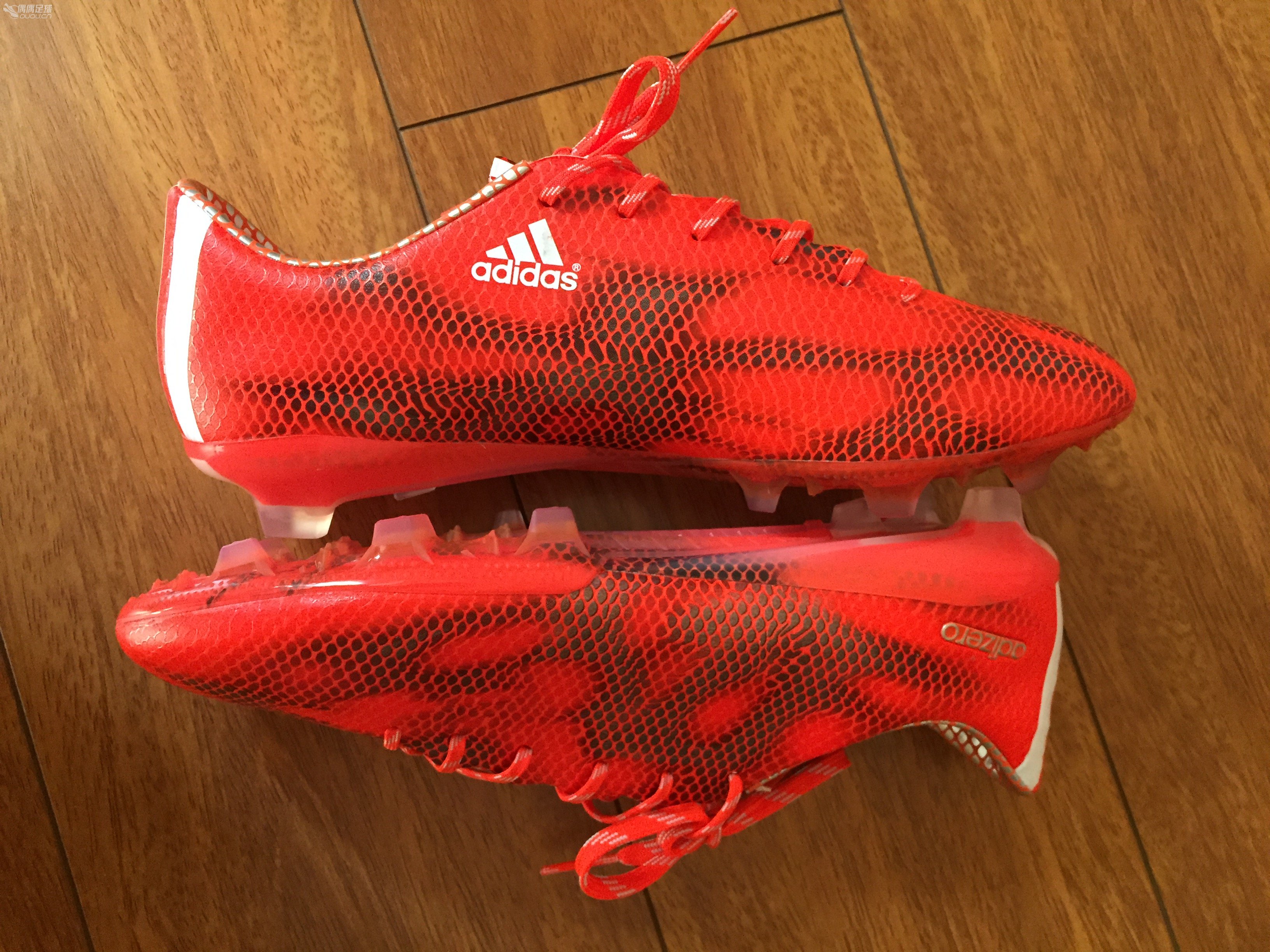 我也来一发F505红龙