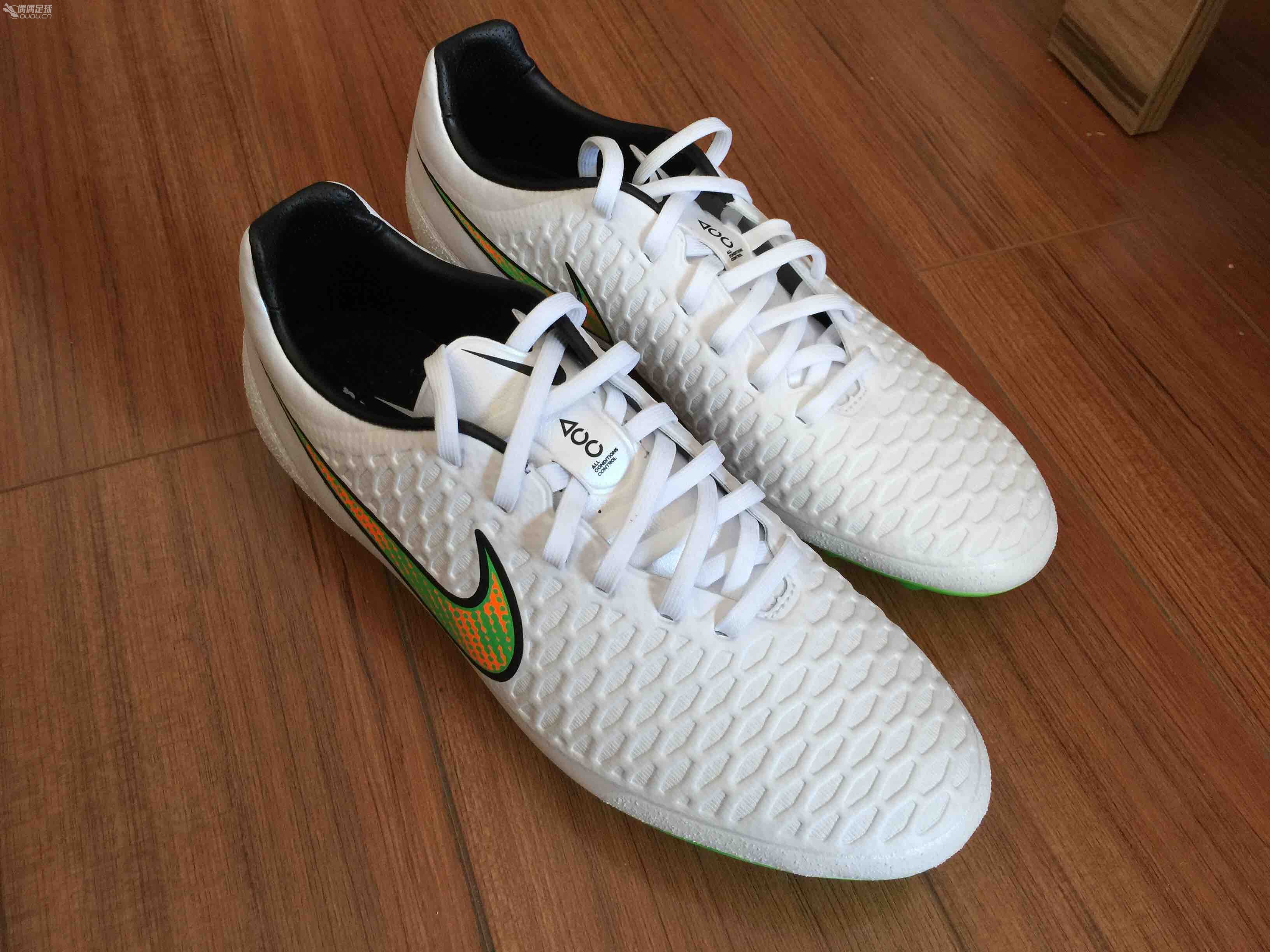 日本购入Magista HG顶级多图