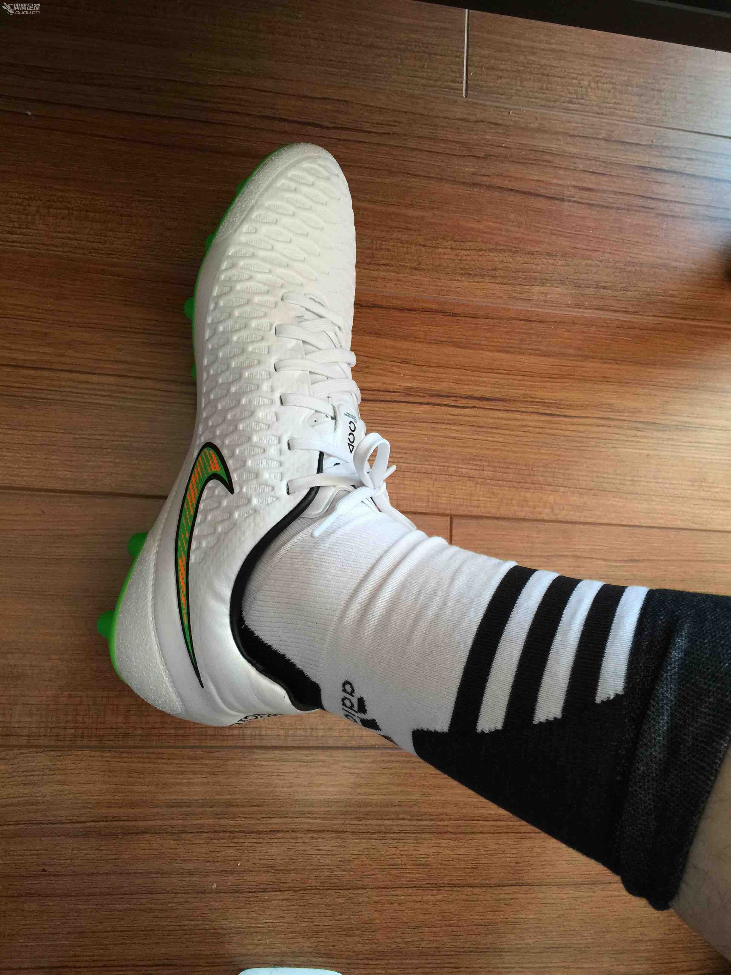 日本购入Magista HG顶级多图