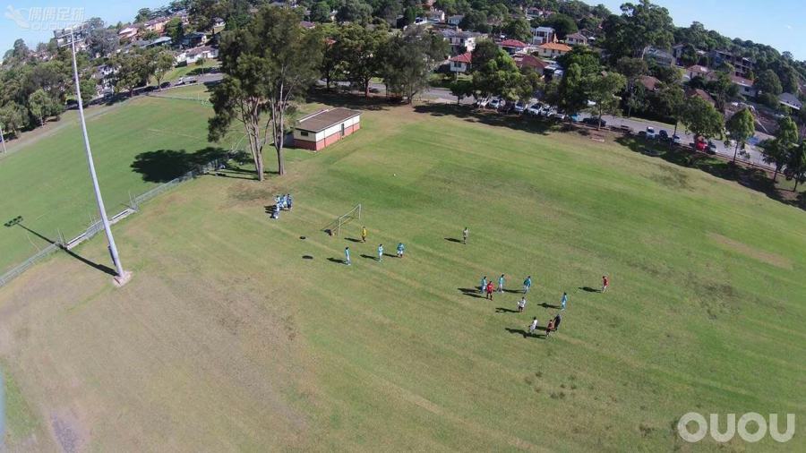 鸳鸯F50各种白菜,折上折跟白捡一样啊
