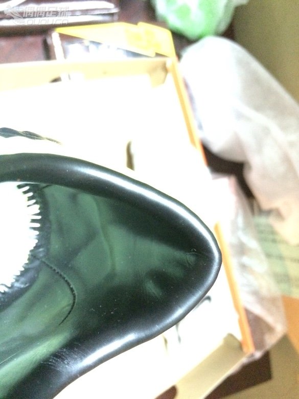 新入手毒蜂,求鉴定真假