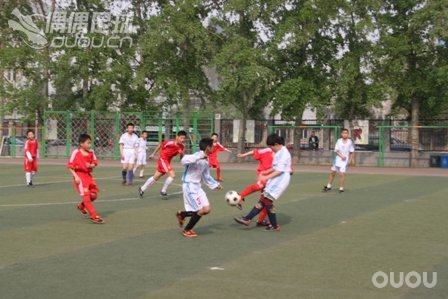 那些足球教给我的